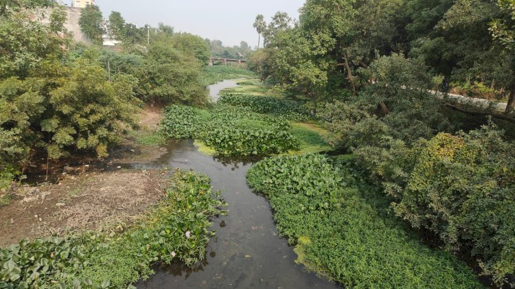 रायबरेली:NTPC मां गंगे की आचल को दूषित जल,वा कचरा केमिकल युक्त पानी नालों से होकर गंगा नदी में भेजने का काम कर रही।