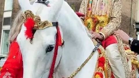 प्रेमी की बारात निकलने से पहले पहुंच गई प्रेमिका, चाकू के बल पर अगवा कर ले गई अपने साथ