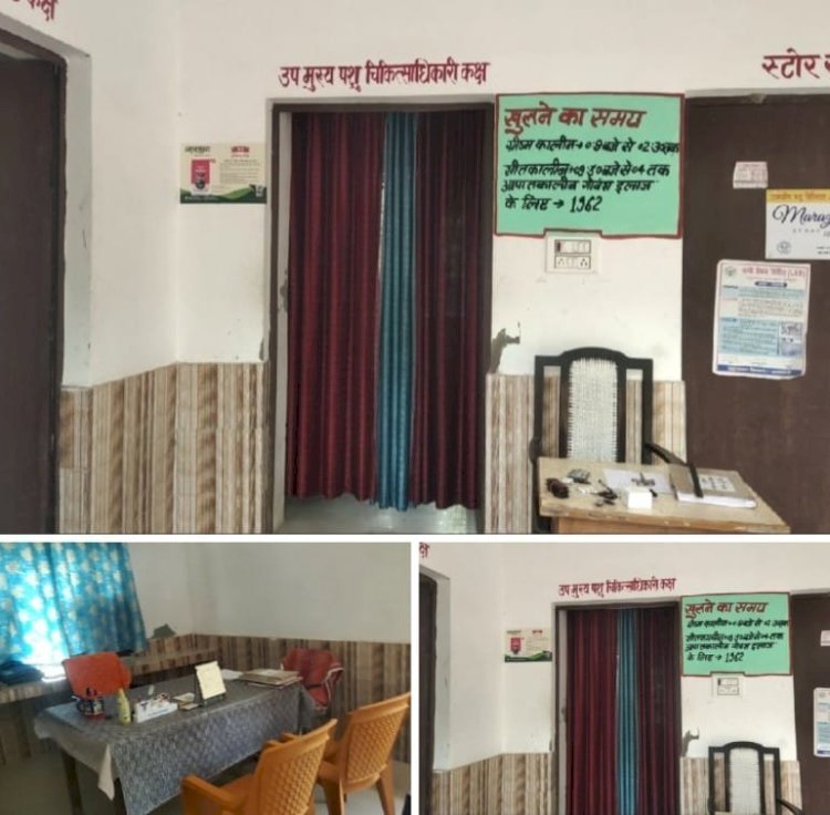 नही आते कभी ऊंचाहार के पशु चिकित्सा अधिकारी.जिम्मेदार बेखर