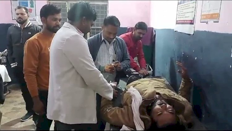 Raibareli-आवारा मवेशी से टकराया बाइक सवार गंभीर घायल