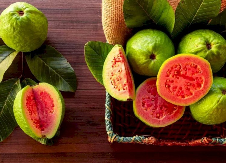 सर्दियों में गुलाबी अमरूद खाने के है कई फायदे, इन मरीज़ों के लिए रामबाण है…