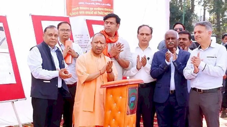 किसानों को दलहन बीजों पर 50 फीसदी सब्सिडी दे रही यूपी सरकार, जानिए कैसे करें आवेदन