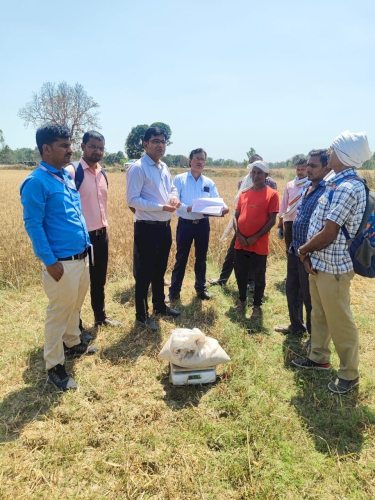 Raibareli-ADM ने गेहूँ फसल की उपज का लिया जायजा