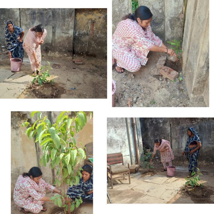 Lसीडीपीओ अर्चना वर्मा ने बाल विकास परियोजना कार्यालय परिसर में वृक्षारोपण किया।