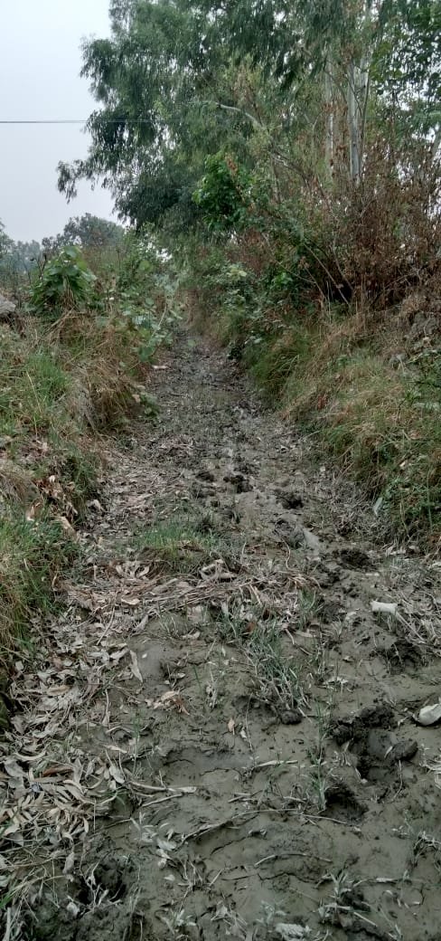 Raibareli-सूखी पड़ी माइनर, किसान परेशान,हजारों बीघा फसलों को पानी का इंतजार