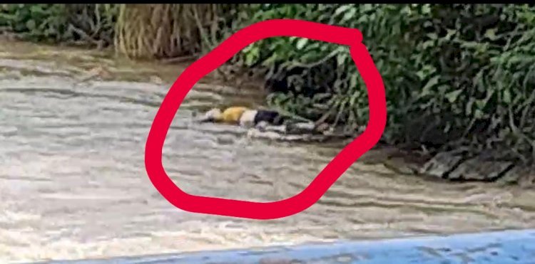 रायबरेली-नहर की झाड़ियों में  उतराता दिखा युवक का शव 