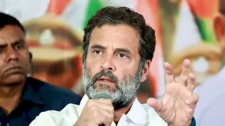राहुल गांधी की भारतीय नागरिकता को रद्द करने की मांग याचिका पर in HC करेगा सुनवाई