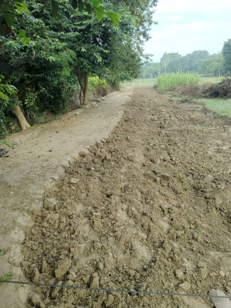 रायबरेली-बनवाए गए चकमार्ग को काटकर खेत में मिलाया , पंचायत विभाग को दो लाख की क्षति