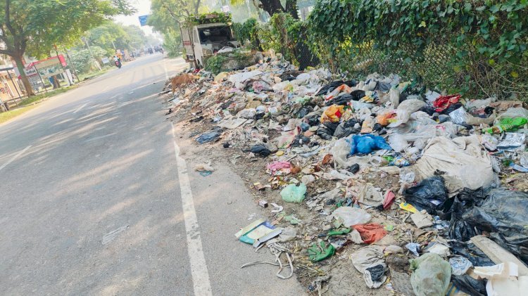 रायबरेली-कूड़े से पटी सड़क, दुर्गंध से हो रहा सांस लेना मुश्किल