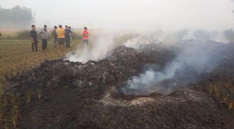 रायबरेली-गिरवी रखे आभूषण के विवाद में उपजी रंजिश के कारण फसल में लगाई आग,,,, 