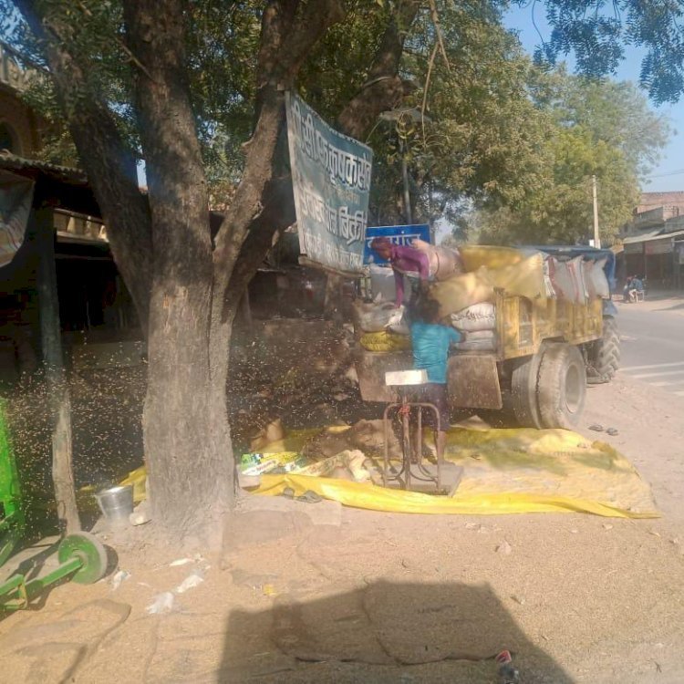 रायबरेली-धान खरीद हेतु खोले गए सरकारी केंद्रों पर सन्नाटा लक्ष्य से काफी दूर है खरीद,,,
