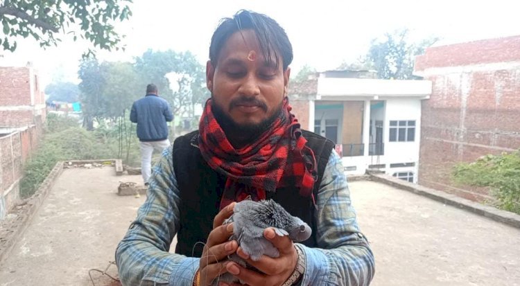 रायबरेली-प्रतिबंधित चाईनीज मंझे की भरमार से बाजार गुलजार