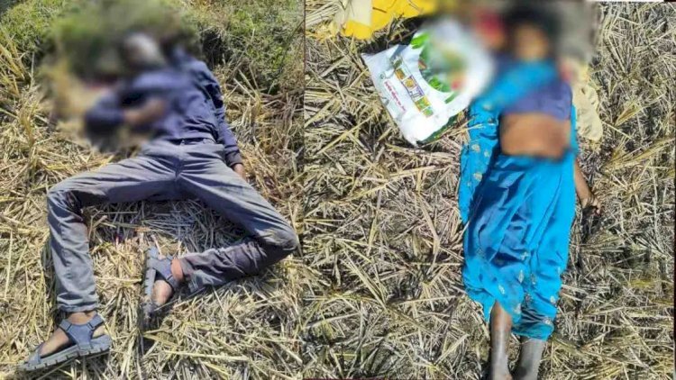 छत्तीसगढ़ में ट्रिपल मर्डर : पत्रकार के मां, पिता और भाई की बेरहमी से हत्या, खूनी खेल से सहमा इलाका