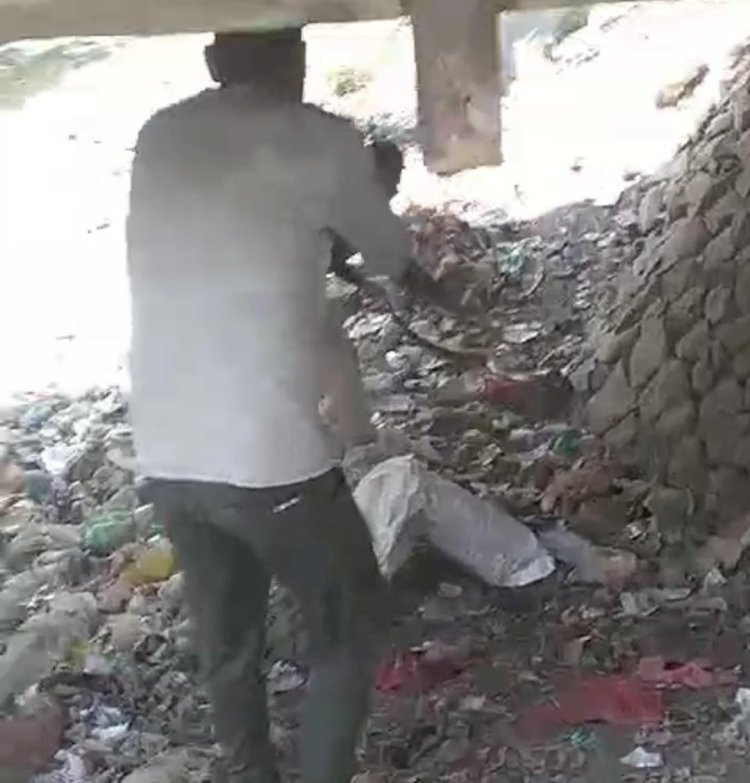 रायबरेली-आबादी के पास गंदा नाला में दिखा विशाल अजगर , मचा हड़कंप