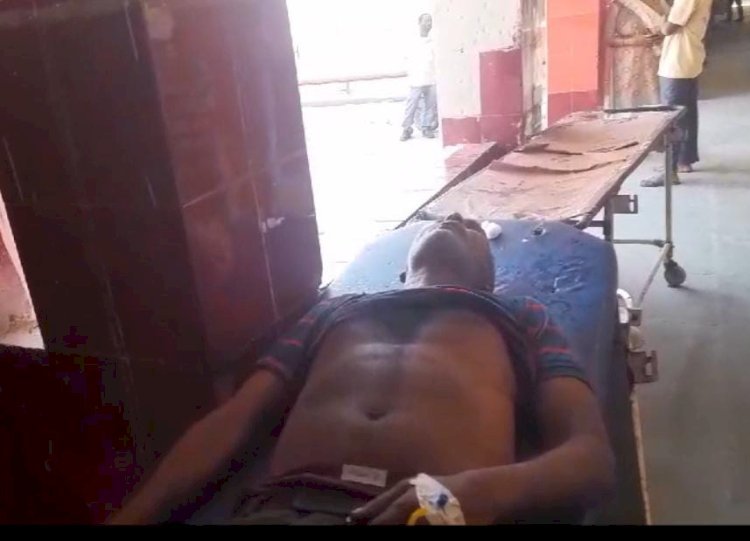 रायबरेली-मधुमक्खियों ने अधेड़ पर बोला हमला , हालत गंभीर