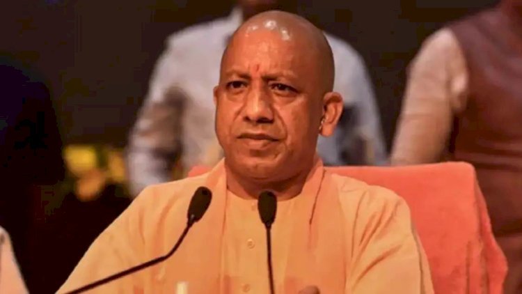 चरागाह की जमीनें करानी होंगी खाली, शासन ने जारी किए निर्देश; तहसीलों में मची खलबली