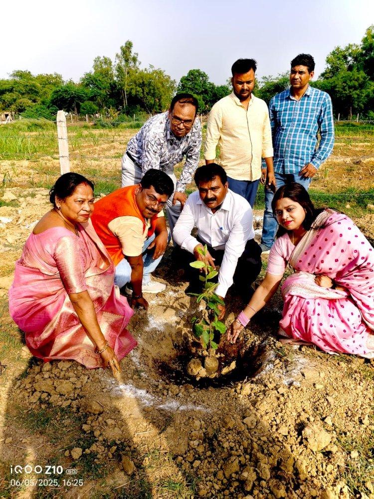 रायबरेली-विश्व पर्यावरण दिवस के अवसर पर गौशालाओं में वृक्षारोपण कर मनाया गया मुख्यमंत्री का जन्म दिवस