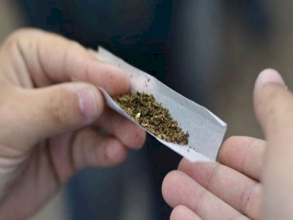 रायबरेली -घोरवारा में खुलेआम बेचा जा रहा हैं अवैध गांजा,पुलिस की पकड़ से दूर अवैध गांजा कारोबारी