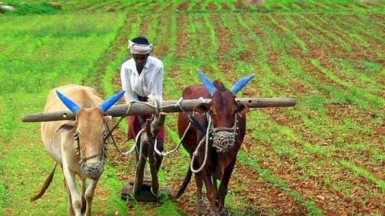 रायबरेली-18 जून को तहसील लालगंज में किसान दिवस का आयोजन