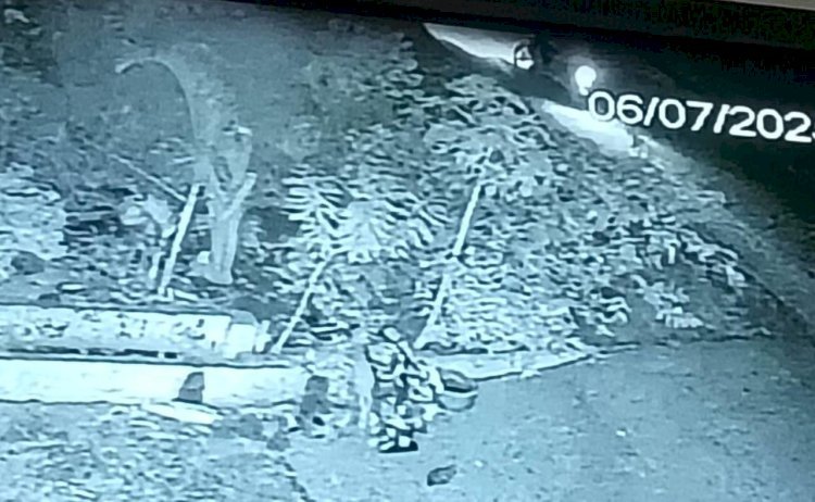 रायबरेली-टाइल्स की दुकान में हजारों की चोरी , पुलिस ने नहीं दर्ज की प्राथमिकी,,,,, 