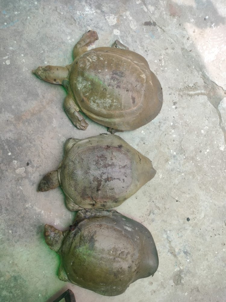 रायबरेली- Si सौरभ मलिक ने की बड़ी कार्रवाई जाने क्या मचा हडकंप,,,, 