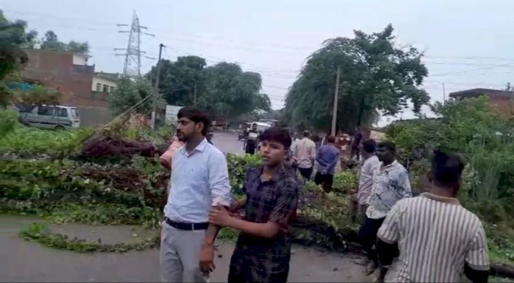 रायबरेली- जमुनापुर चौराहे पर तेज बारिश के चलते राजमार्ग मार्ग पर गिरा पेड़ बिजली का खम्भा गिरने से यातायात प्रभावित,,, 