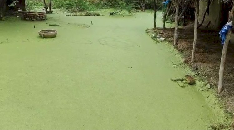 रायबरेली-24 घंटे बीत जाने के बाद भी ध्यान नही दे रहे डलमऊ बीडीओ