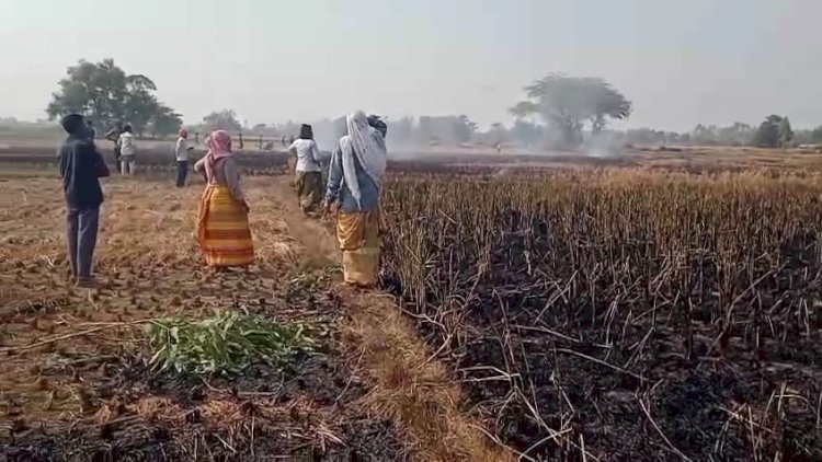 रायबरेली - सरकार के आदेशों की धज्जियां उड़ा रहे किसान की लापरवाही दूसरे किसान को बड़ी भारी, हुआ हजारों का नुकसान