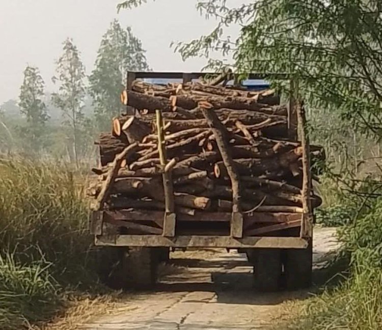 रायबरेली-आखिर कौन है? डलमऊ रेंज में तैनात डिप्टी रेंजर रजनीश कुमार अवैध कटानो पर ठेकेदारो को दे रहे खुली छूट