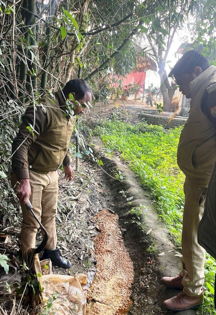रायबरेली - दबिश के दौरान 80 लीटर अवैध कच्ची शराब बरामद व लगभग 350 किलोग्राम महुआ लहन मौके पर नष्ट, 03 अभियोग पंजीकृत