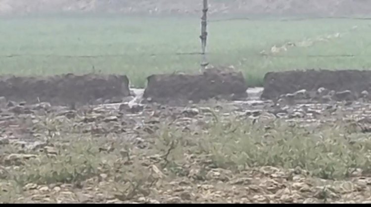 रायबरेली- राठौर के पूरवा गांव में एक माइनर ओवरफ्लो: किसानों की सैकड़ों बीघे फसल जलमग्न