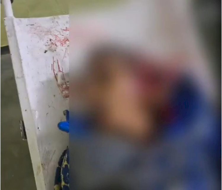 रायबरेली-ऊंचाहार: लखनऊ-प्रयागराज हाईवे पर अज्ञात वाहन ने बुजुर्ग महिला को रौंदा,मौत