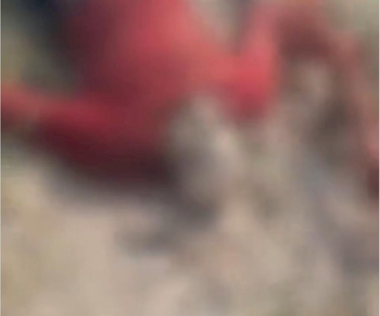 रायबरेली:ऊंचाहार के शारदा सहायक नहर में एक अज्ञात शव मिलने से सनसनी,,,,? 