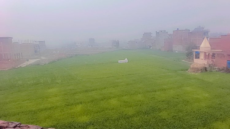 रायबरेली-ऊंचाहार:रिमझिम बरसात से मुस्कुराई रवि की फासल,,, 