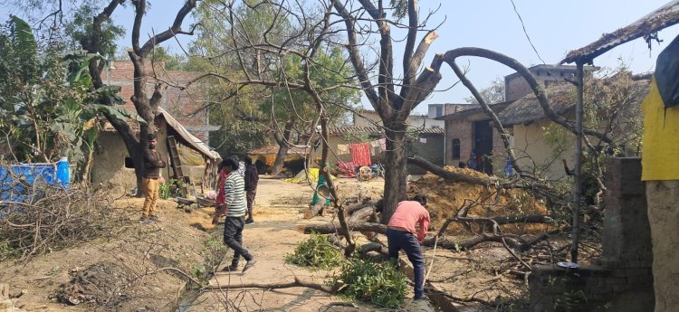 ऊँचाहार में वन माफिया बेखौफ, हरे नीम के पेड़ पर चलाई आरी, लकड़ी लदा वाहन सीज,,, 