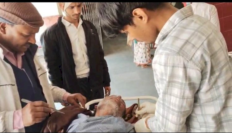 रायबरेली-ऊँचाहार: मधुमक्खियों के हमले में अधेड़ घायल, अस्पताल में भर्ती