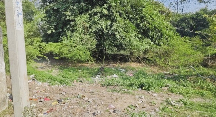 रायबरेली—अमृत सरोवर योजना पर सवाल, सब्जी बबुरा में बदहाल तालाब