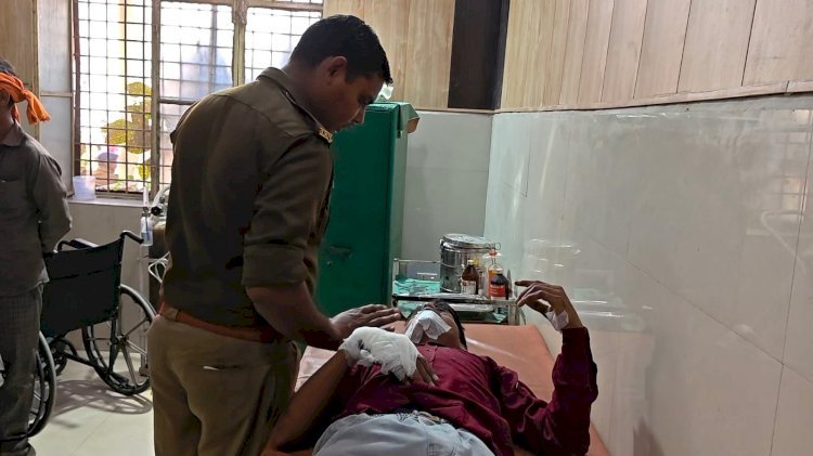 रायबरेली-आवारा मवेशी से टकराये बाइक सवार छात्र, हुए गंभीर रूप से घायल