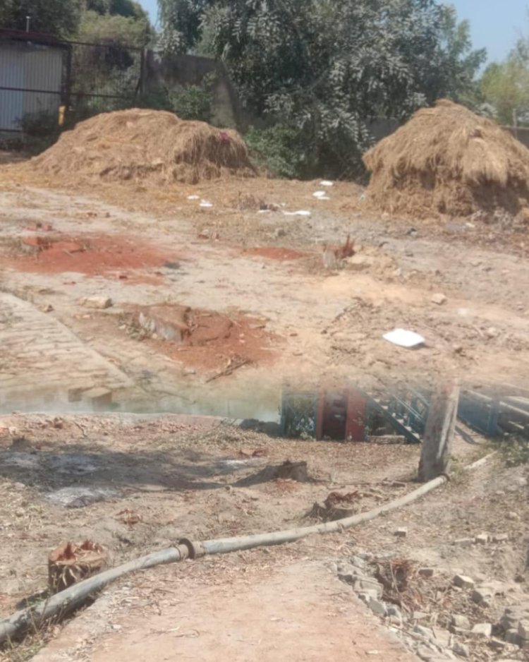 ऊंचाहार में पर्यावरण पर प्रहार: बिना टेंडर नहर विभाग के कटे 74 पेड़, सरकारी राजस्व को लाखों की चपत