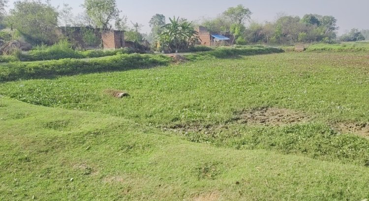 रायबरेली: डलमऊ ब्लॉक के रायपुर टप्पा हवेली में ग्राम प्रधान पर भ्रष्टाचार के गंभीर आरोप