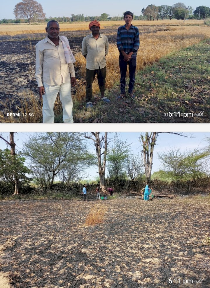 रायबरेली-दो अलग-अलग गांवों में पांच बीघा गेहूं की फसल जलकर हुई राख
