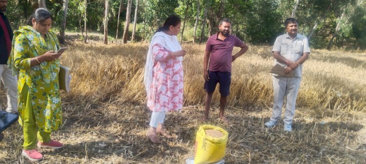 रायबरेली-एडीएम ने क्रॉप कटिंग कराकर गेहूँ की उत्पादकता का किया आकलन*_