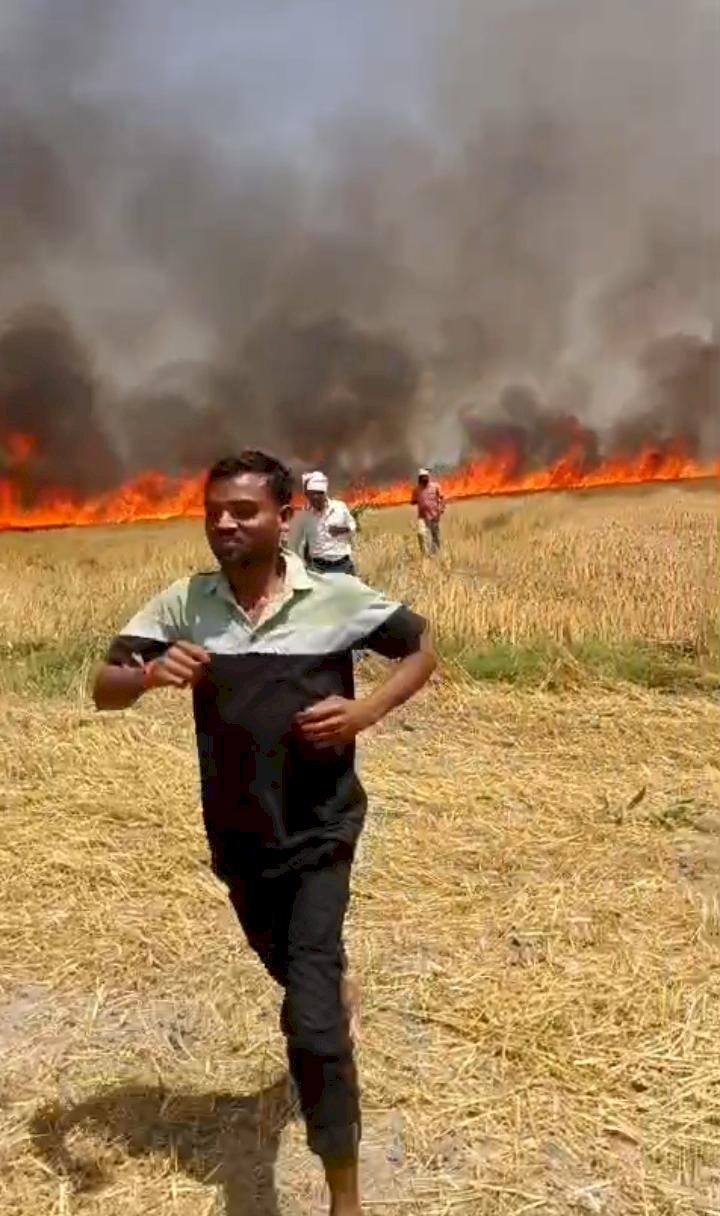 रायबरेली-गेहूं की खड़ी फसल में लगी भीषण आग, 20-25 बीघा फसल जलकर राख