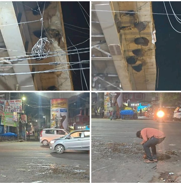 रायबरेली-कस्बे के मुख्य चौराहे पर भरभरा कर गिरे मधुमक्खियों का छत्ते, टला बड़ा हादसा