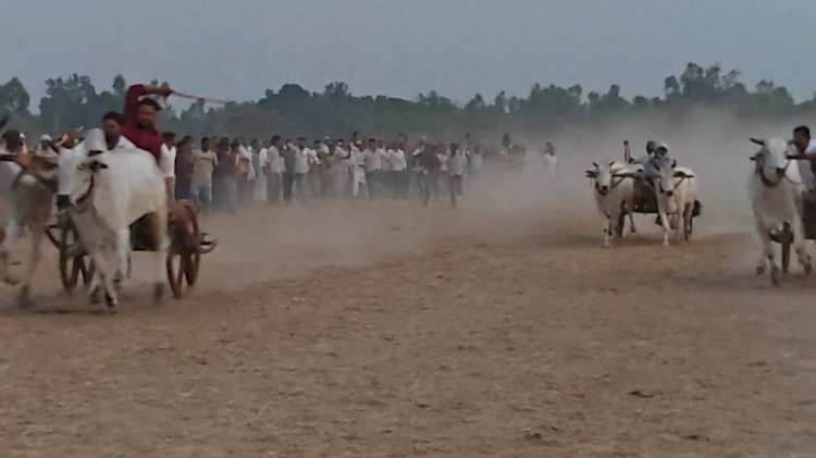 रायबरेली-बैलगाड़ी दौड़ प्रतियोगिता में शिवा ने मारी बाजी