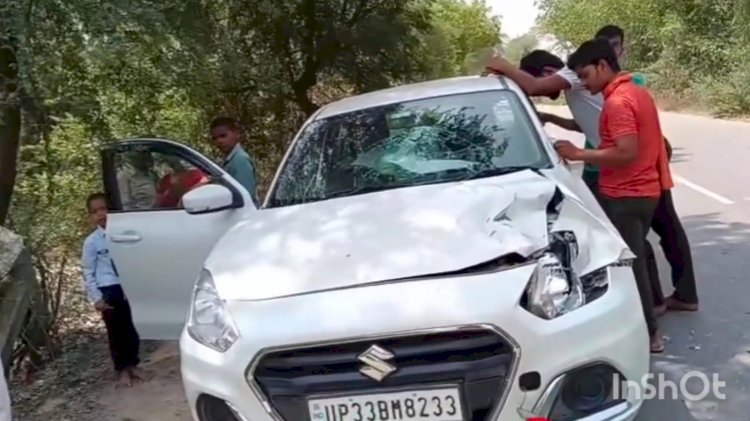 रायबरेली-अचानक सड़क पार कर रही नीलगाय से टकराये कार सवार, बाल बाल बचे