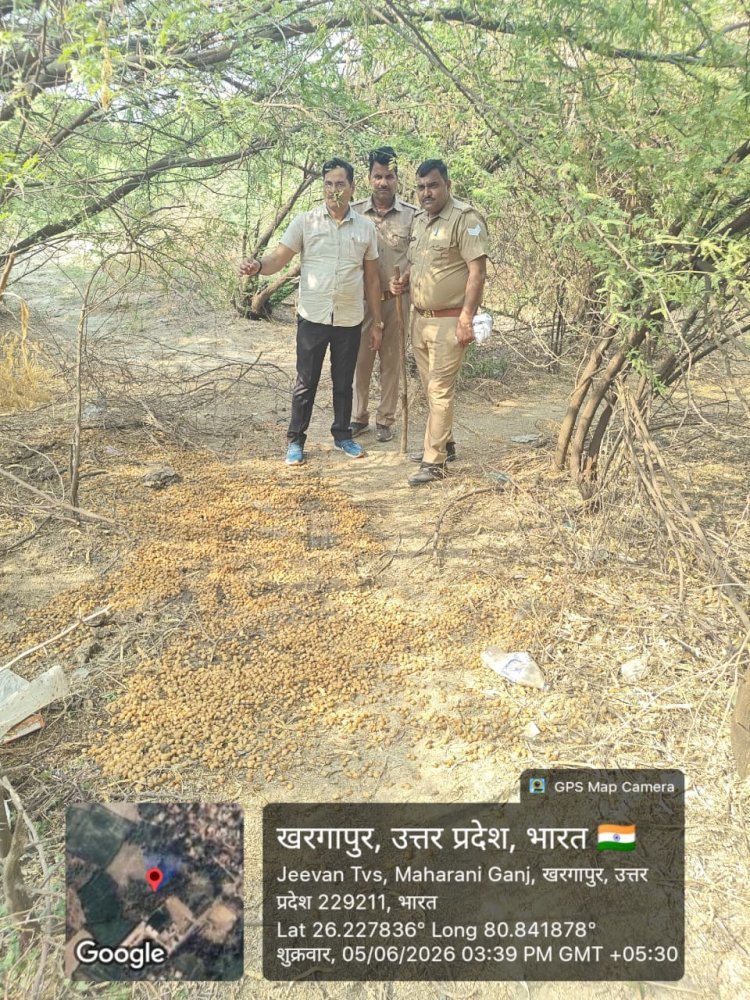 रायबरेली 28 लीटर अवैध कच्ची शराब बरामद, 02 अभियोग पंजीकृत