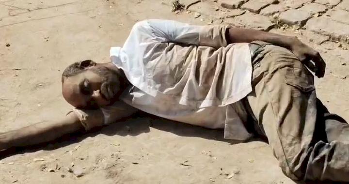 रायबरेली तेज धूप में सड़क किनारे नशे की हालत में धुत पड़े युवक का वीडियो हुआ वायरल
