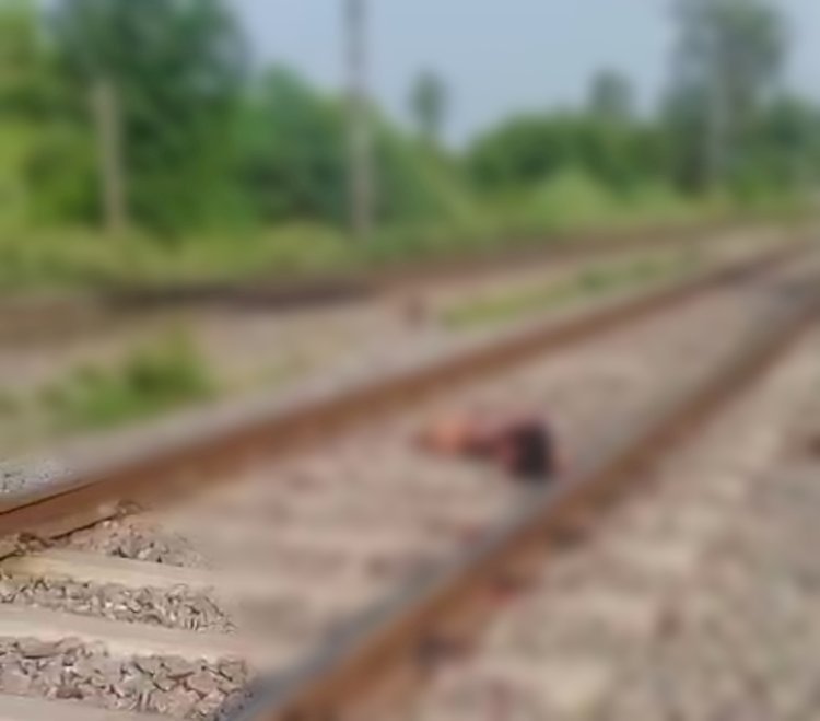 रायबरेली रेलवे लाइन पर कटी 17 वर्षीय किशोरी, गांव में मचा कोहराम  हरचंदपुर के टांडा और आस्तिक बाबा गेट के बीच हुआ हादसा
