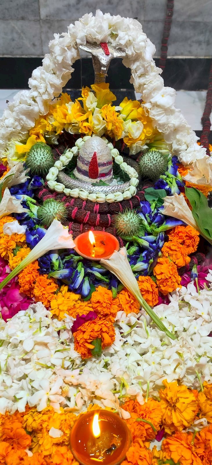 रायबरेली 30 जुलाई से श्रावण मास शुभारंभ,चंद्रपुर मंदिर में नित्य संपन्न हो रहा है बाबा का भव्य श्रृंगार